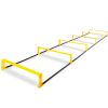 Raised Agility Ladder
