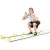 Raised Agility Ladder